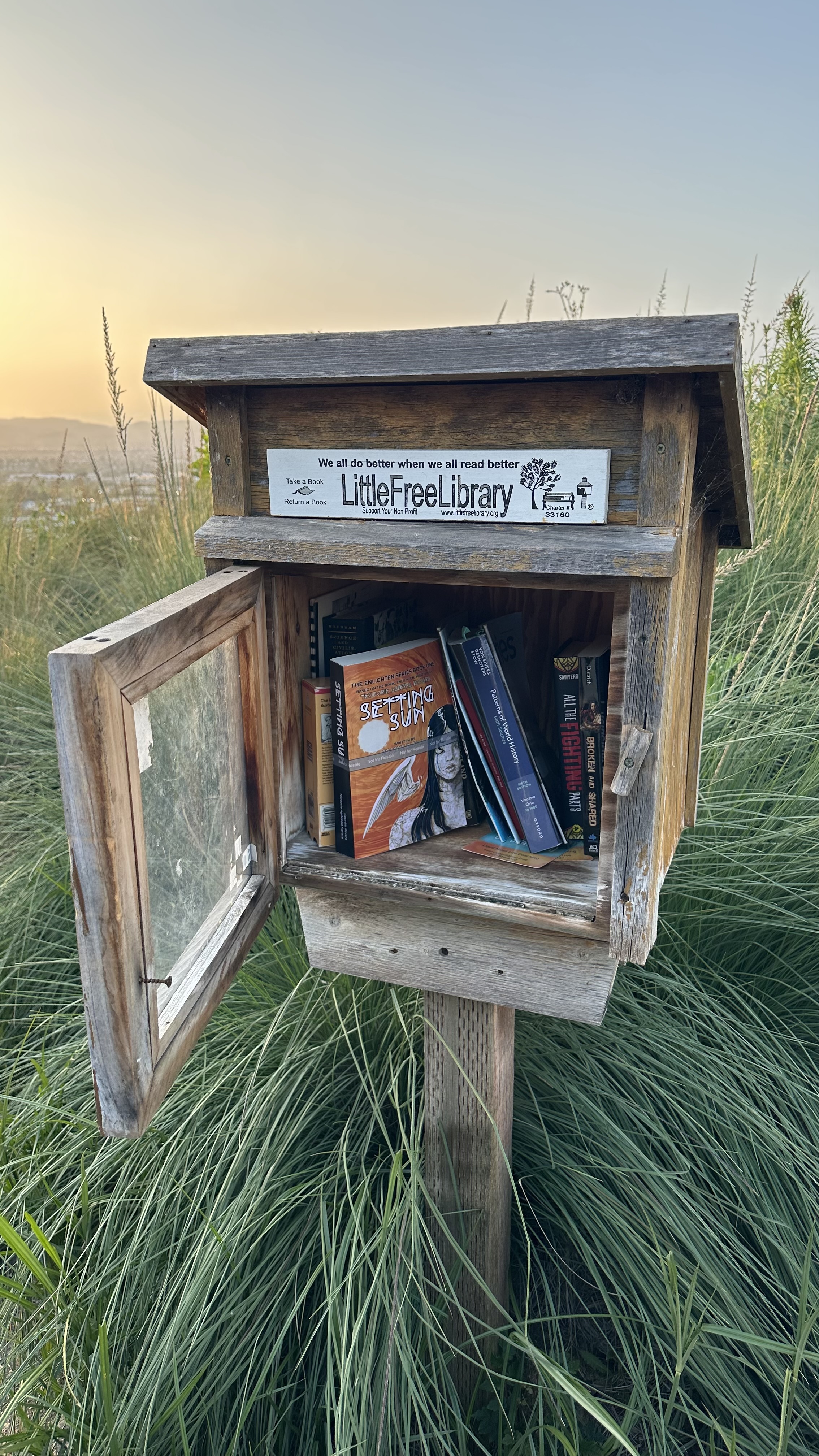 A copy of Setting Sun placed in a community little library set in tall grass overlooking the ocean on the LMU campus.